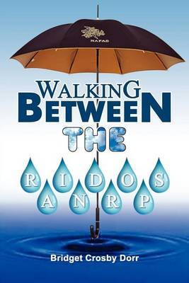 Walking Between the Raindrops by Bridget Crosby Dorr image
