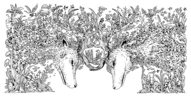 animorphia kerby rosanes book in stock buy now at mighty ape nz
