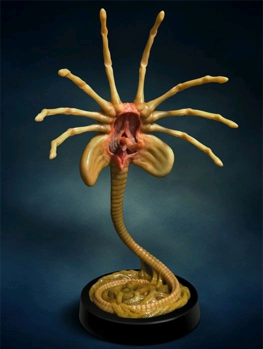 Alien Facehugger - 1:1 Life-Sized Replica image