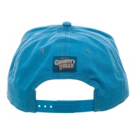 Dipper's Hat - Snapback Cap | at Mighty 