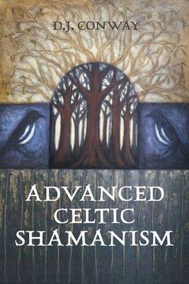 Advanced Celtic Shamanism by D.J. Conway image