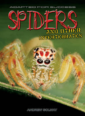 Spiders and other invertebrates by Andrew Solway image