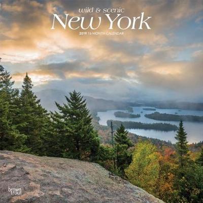 New York Wild & Scenic 2019 Square by Inc Browntrout Publishers image