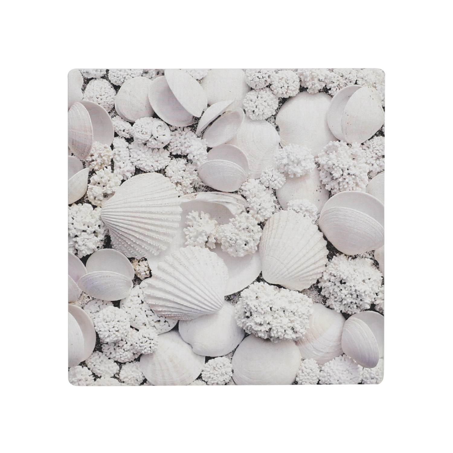 Splosh Coastal White Ceramic Coaster at Mighty Ape NZ