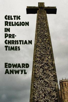 Celtic Religion in Pre-Christian Times by Edward Anwyl image