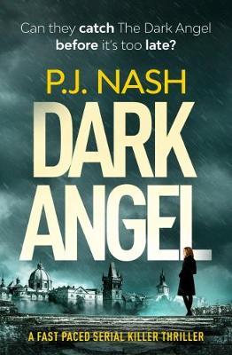 Dark Angel by PJ Nash image