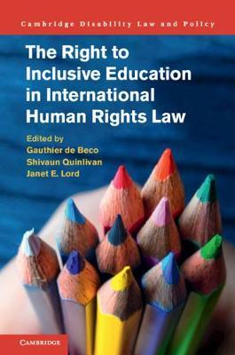 Cambridge Disability Law and Policy Series image
