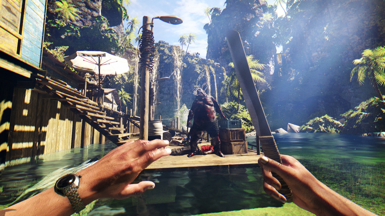 Dead Island Definitive Collection for PS4 image