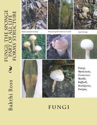 Fungi by Br Bakthi Ross Dr image