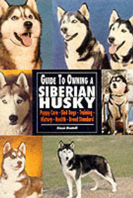 Guide to Owning a Siberian Husky image