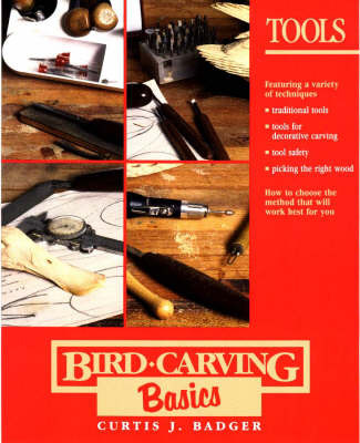 Bird Carving Basics: v.9 by Curtis J. Badger image