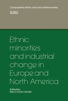 Ethnic Minorities and Industrial Change in Europe and North America image