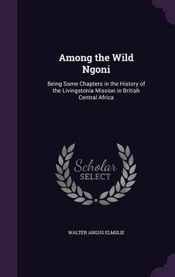 Among the Wild Ngoni by Walter Angus Elmslie image