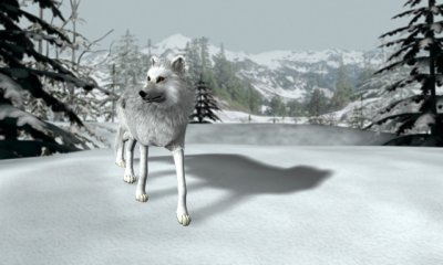 Nancy Drew The White Wolf of Icicle Creek for PC Games image