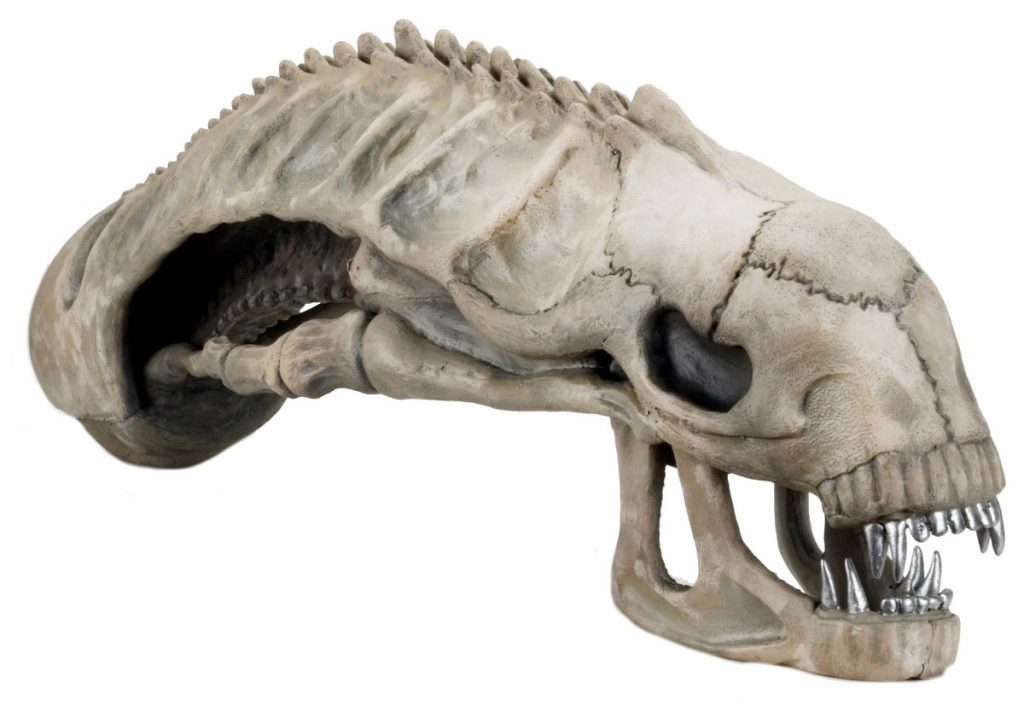 Xenomorph Skull - 36" Foam Replica image