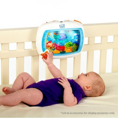 Baby Einstein Sea Dreams Soother image