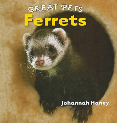 Ferrets by Johannah Haney image
