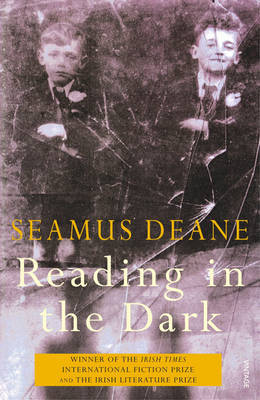 Reading In The Dark by Seamus Deane image