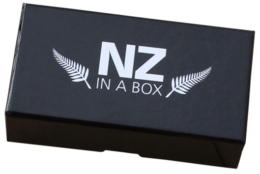 NZ in a Box Game image