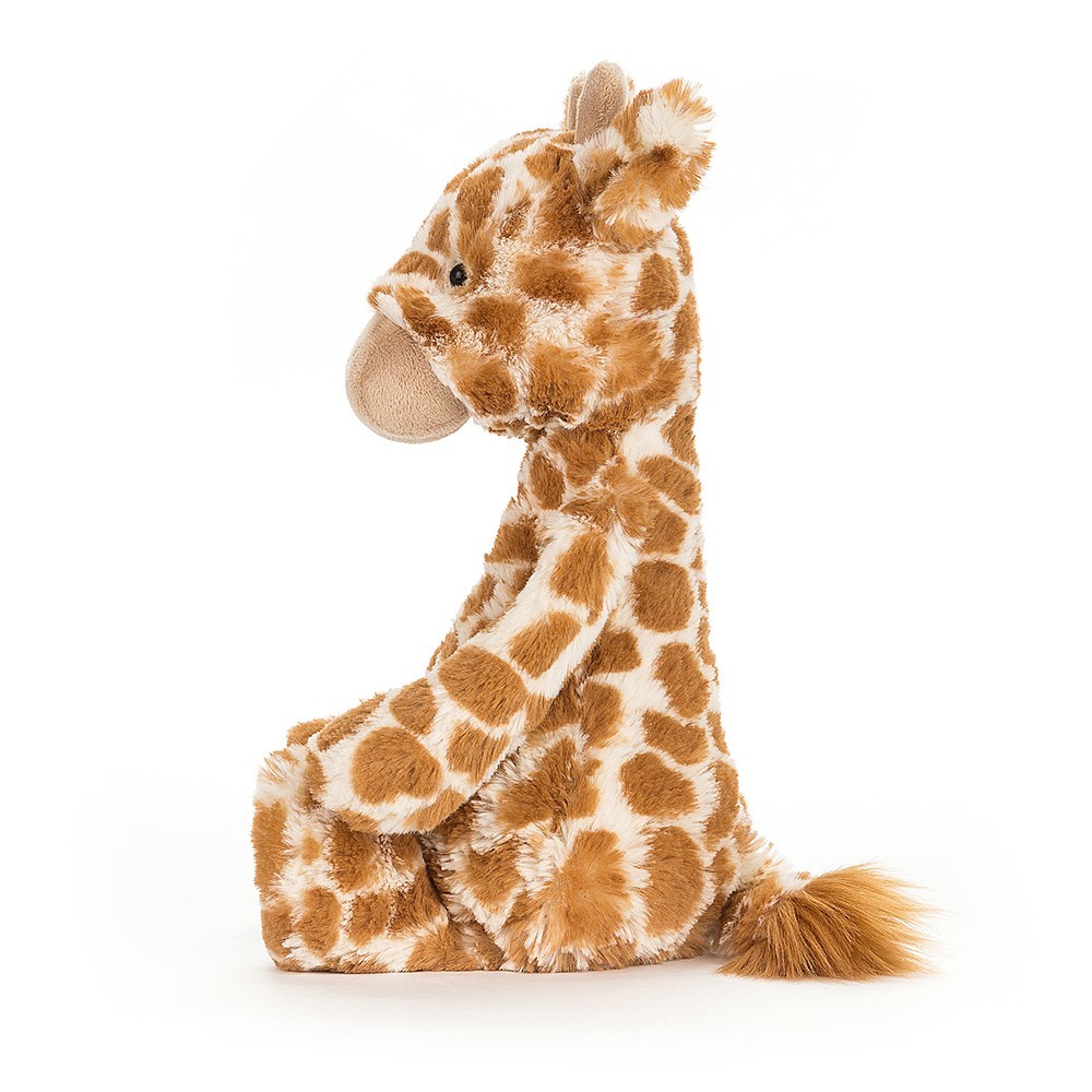 Buy Jellycat Bashful Giraffe at Mighty Ape Australia