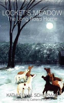 Locket's Meadow by Kathleen M. Schurman image