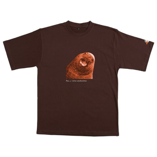 Lolrus Sansbucketus - Tshirt (Chocolate) image