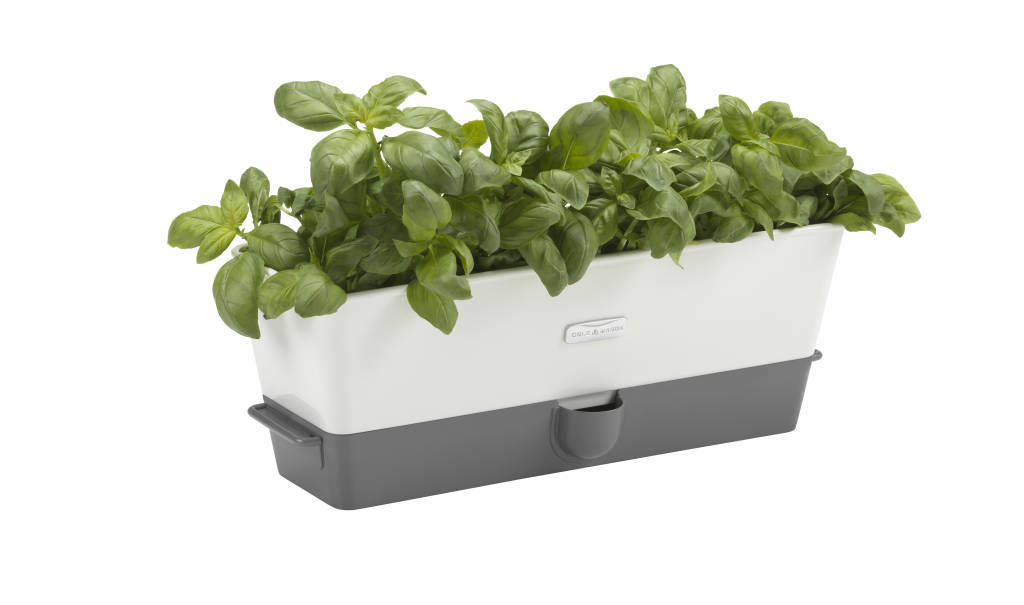 Cole & Mason: Self Watering Herb Keeper | at Mighty Ape NZ