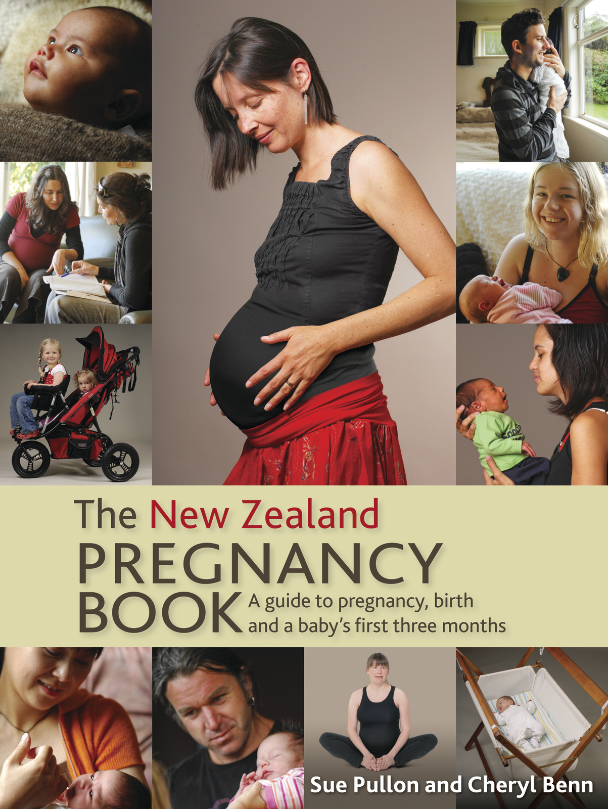 The New Zealand Pregnancy Book, 3rd edition Sue Pullon and Cheryl