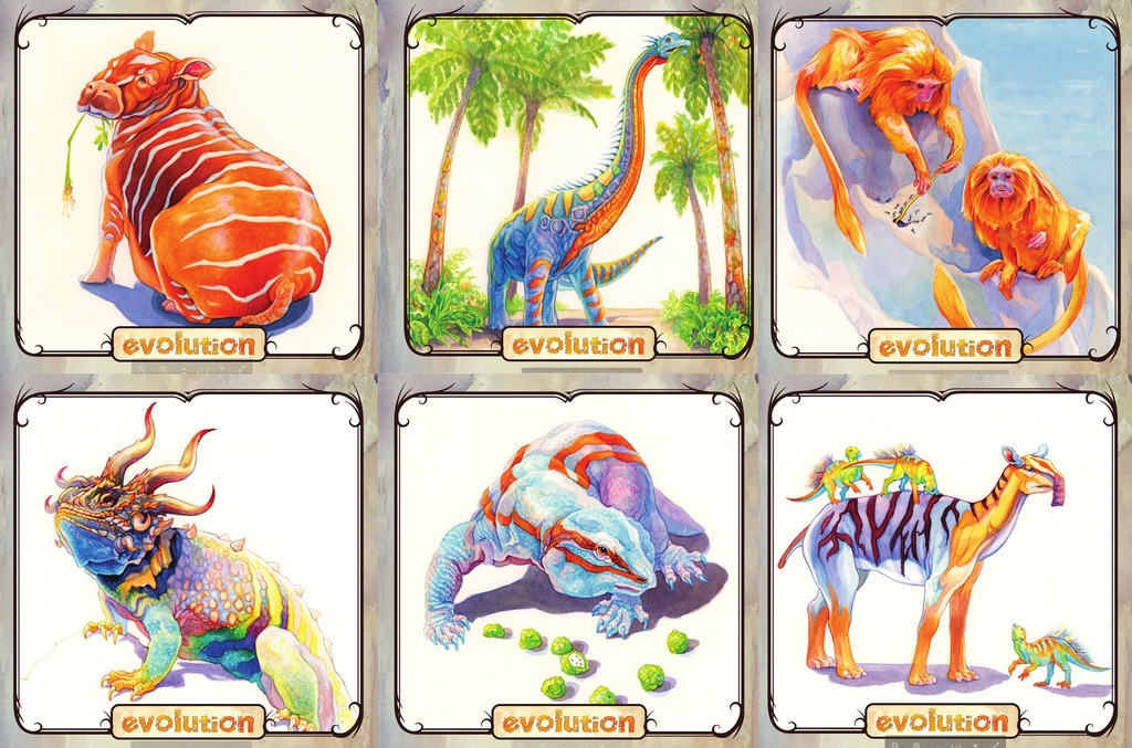 Evolution - Board Game image
