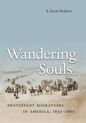 Wandering Souls by S. Scott Rohrer image