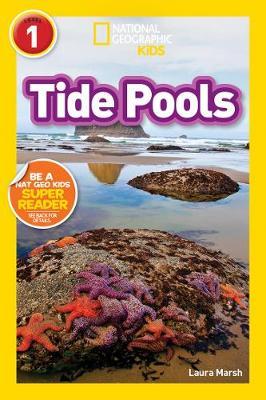 Tide Pools (L1) by Laura Marsh image