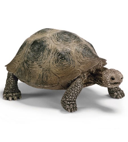 Schleich: Giant Tortoise image