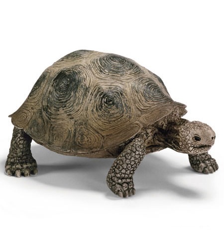 Schleich: Giant Tortoise