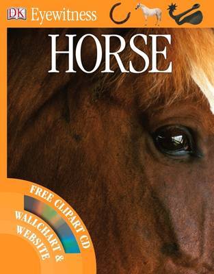 Horse on Paperback