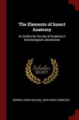 The Elements of Insect Anatomy by Vernon Lyman Kellogg image