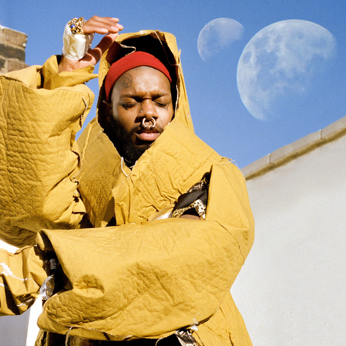 Soil by Serpentwithfeet image