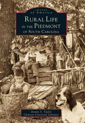 Rural Life in the Piedmont of South Carolina by Dennis S Taylor image