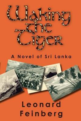 Waking the Tiger by Leonard Feinberg image