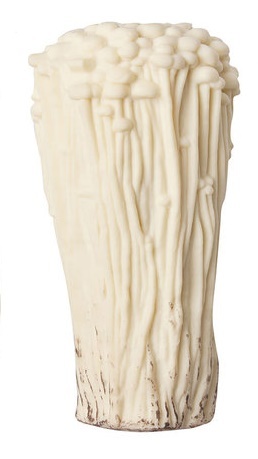 buy stress mushroom enoki