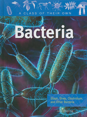 Bacteria by Judy Wearing image