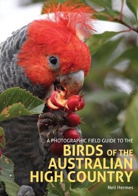 A Photographic Field Guide to the Birds of the Australian High Country image