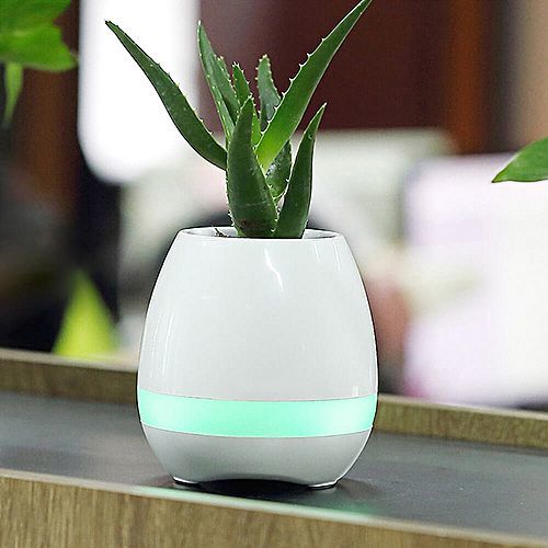 Bluetooth Musical Smart Pot - White