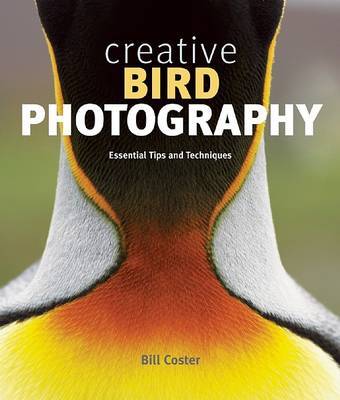 Creative Bird Photography by Bill Coster image