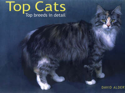 Top Cats by David Alderton image