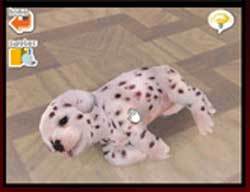 Nintendogs - Dalmatian & Friends for DS image