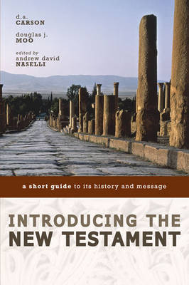 Introducing the New Testament by Andrew David Naselli image