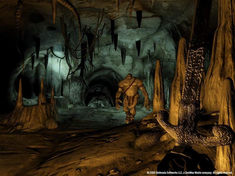 The Elder Scrolls IV: Oblivion Game of the Year Edition for PC Games image