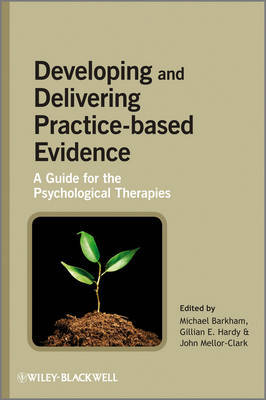 Developing and Delivering Practice-Based Evidence image