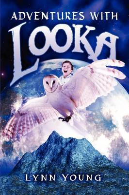 Adventures with Looka image