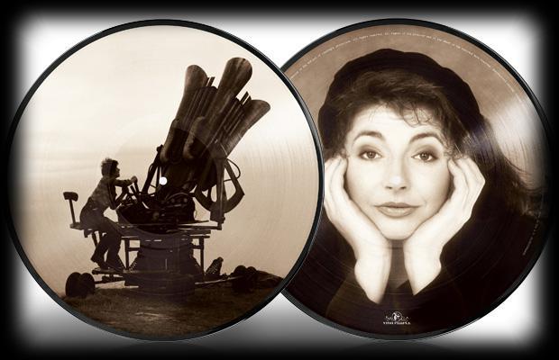 Cloudbusting (Picture Disc) by Kate Bush image